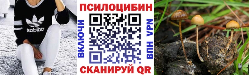 Галлюциногенные грибы Psilocybine cubensis Полевской